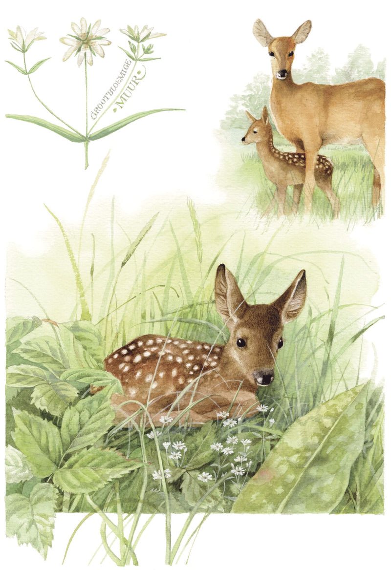 Waiting For Mom by Marjolein Bastin