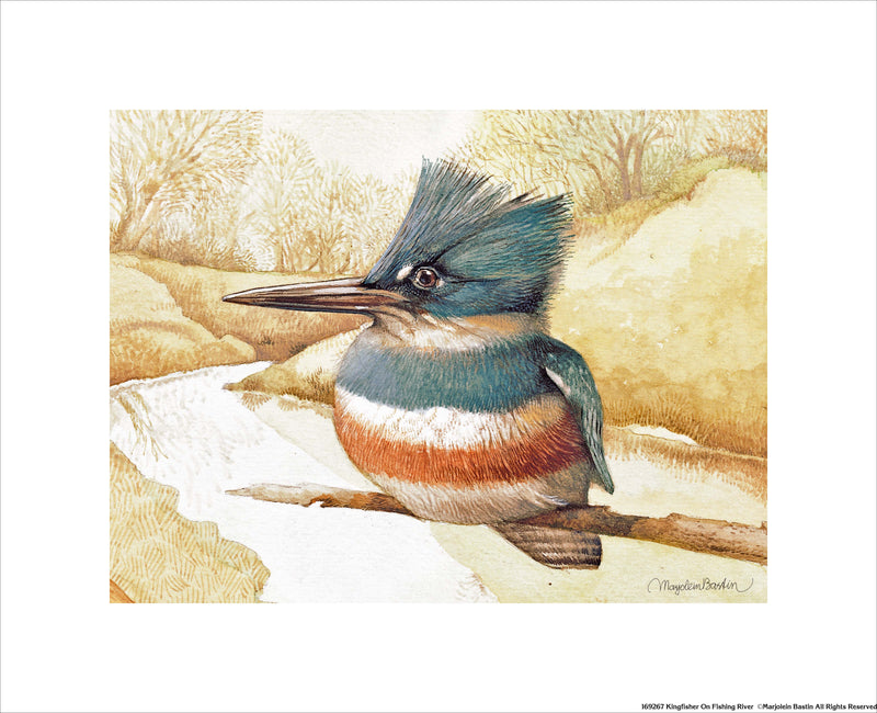 Kingfisher on Fishing River