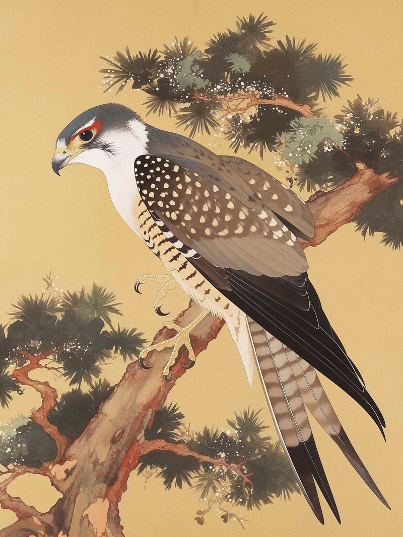 Graceful Sentinel - Falcon in Pine Grove