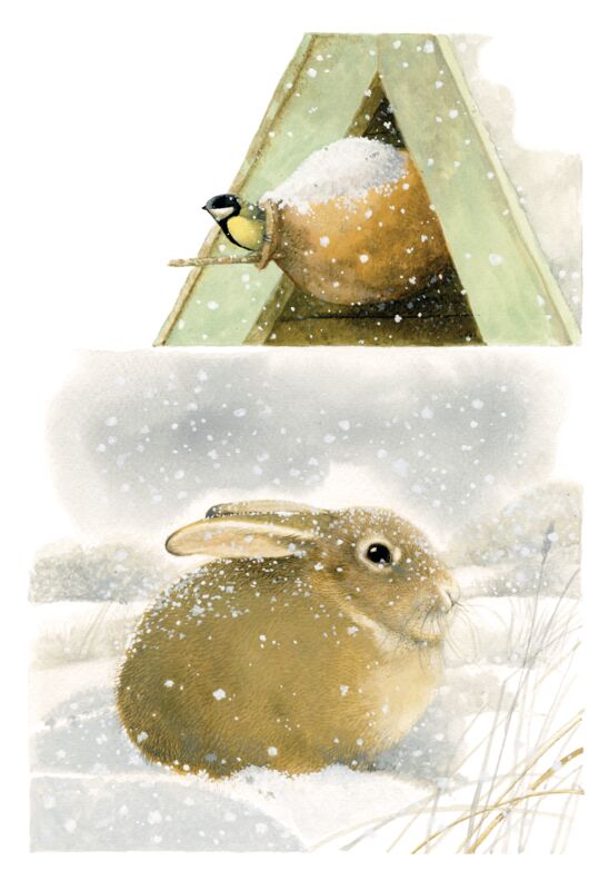 Seeking Shelter from the Snow