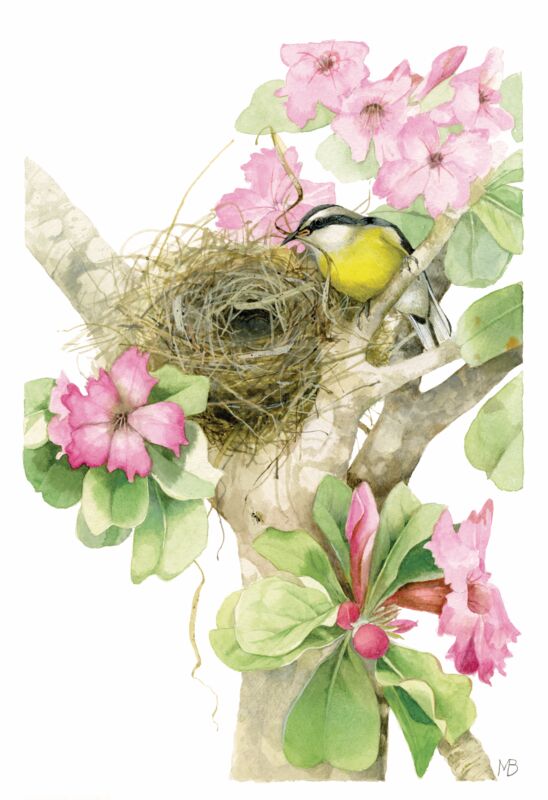 Building a Tropical Home by Marjolein Bastin