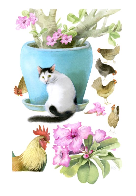 Goodbye to Grand Cayman