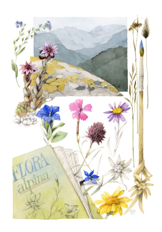 Flora Alpina by Marjolein Bastin