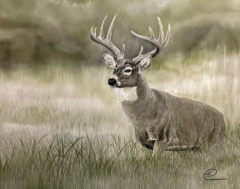 Olive Whitetail Deer