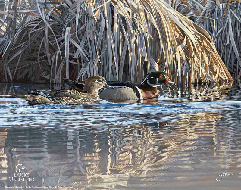 Backwater Gathering