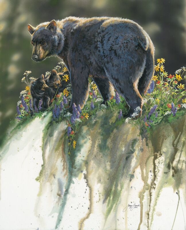 Abundance—Black Bears by Janene Grende