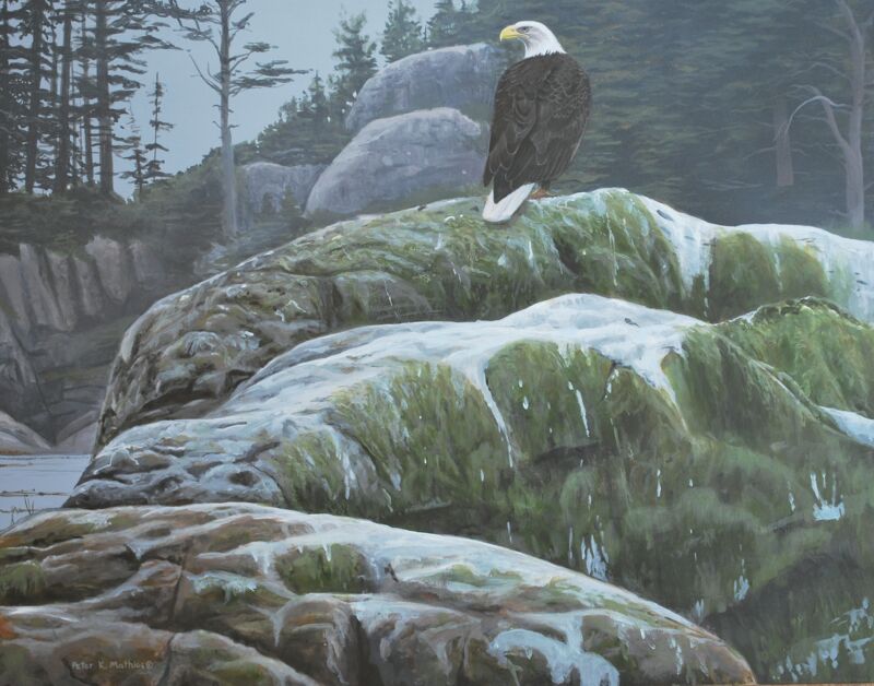 Alaskan Sentinel by Peter Mathios