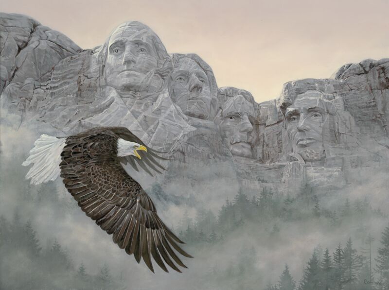 American Splendor—Bald Eagle by Jon Ren