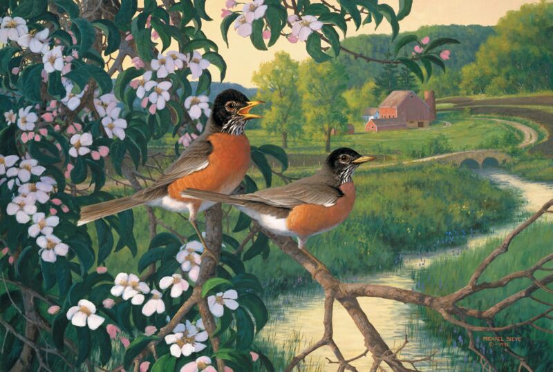 Shop Apple Blossom Time - Robins From Wild Wings