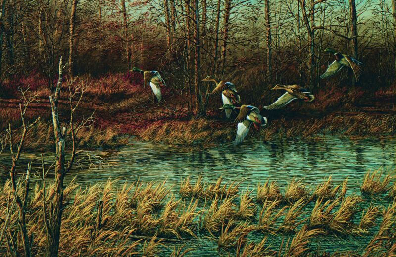 Apple River Mallards by Terry Redlin