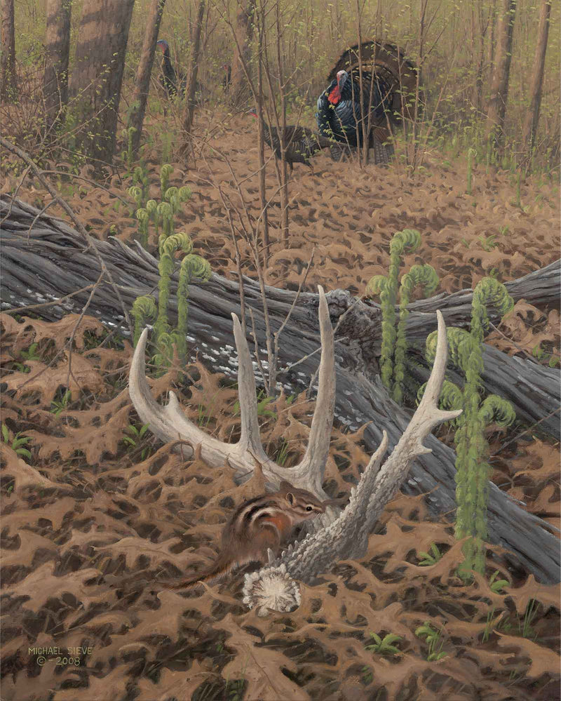 April’s Promise—Turkey