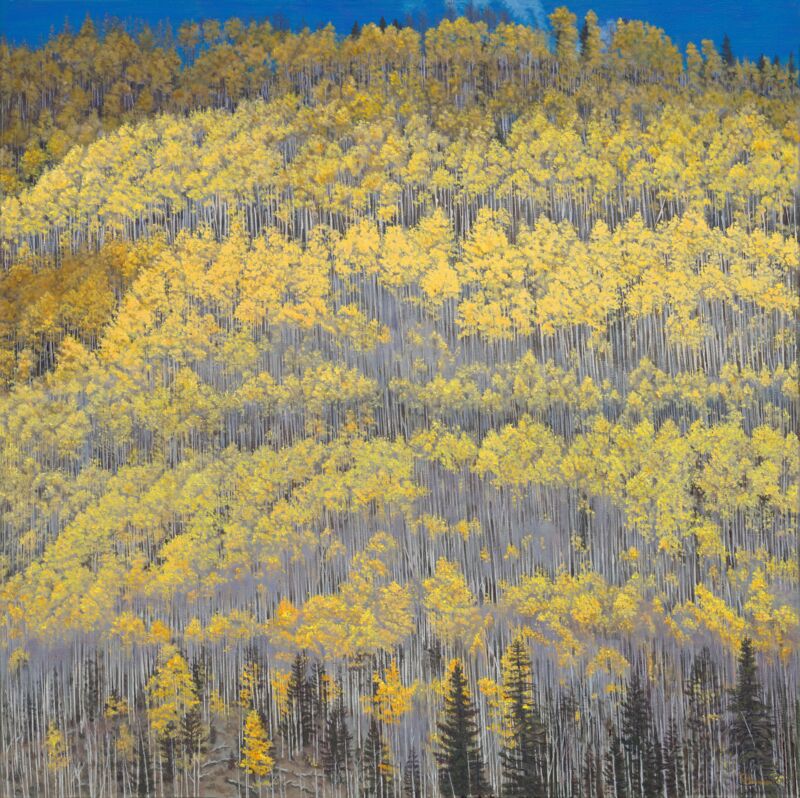 Aspens by Gary Johnson