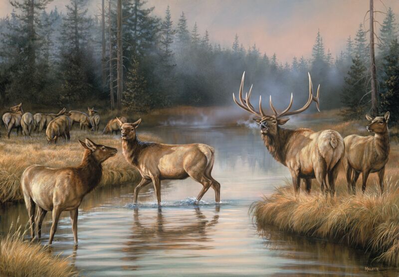 Autumn Mist - Elk by Rosemary Millette