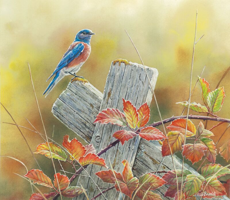 Autumn Vista by Susan Bourdet