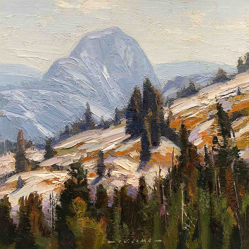 Backdoor To Yosemite - Half Dome