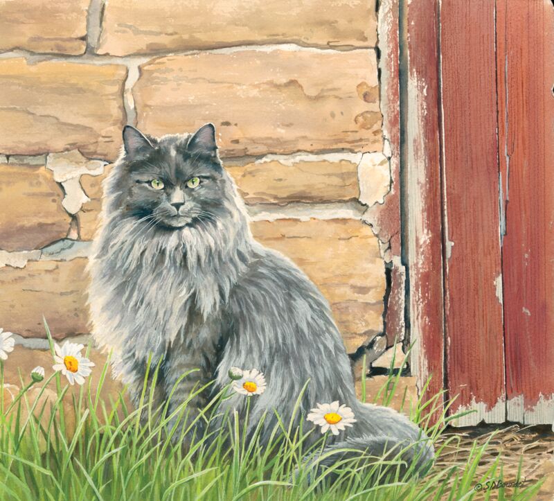 Barnyard Queen by Susan Bourdet