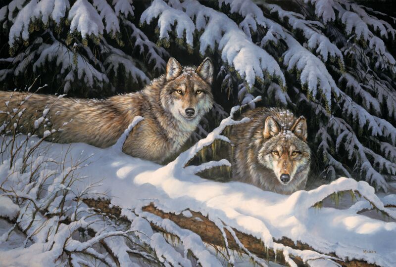 Black Timber—Wolves by Rosemary Millette