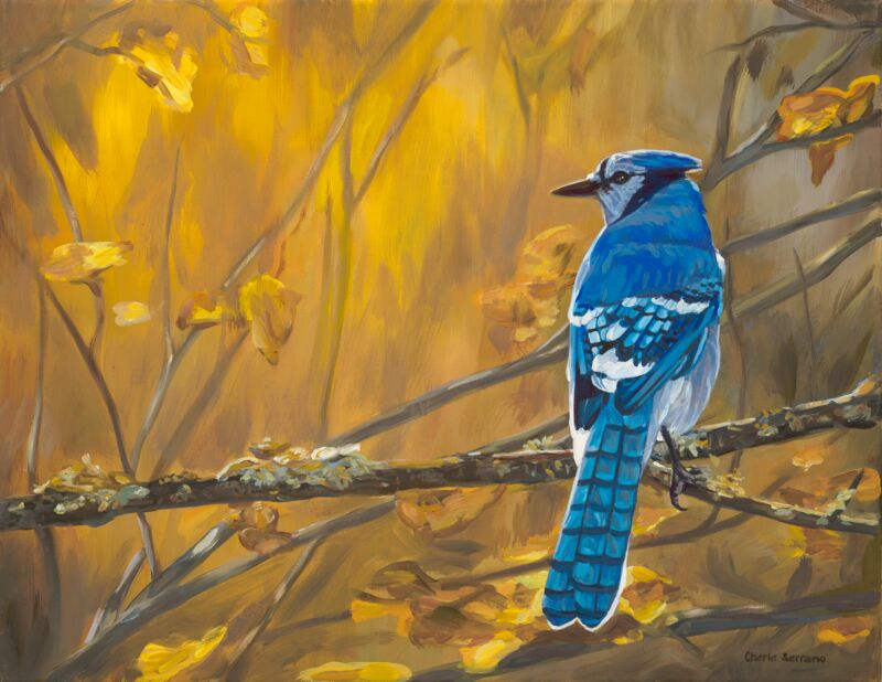 Bluejay in the Woods by Cherie Serrano