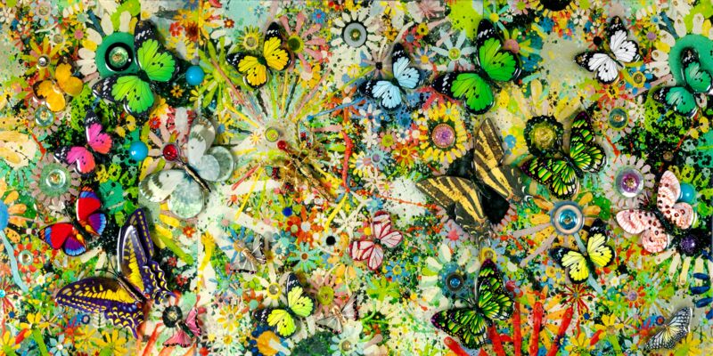 Butterfly Oasis by Robert Swedroe