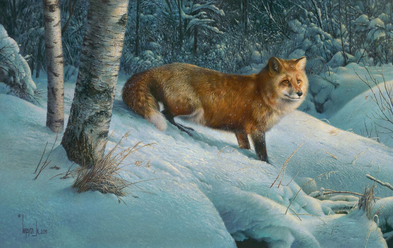 Cautious Roamer