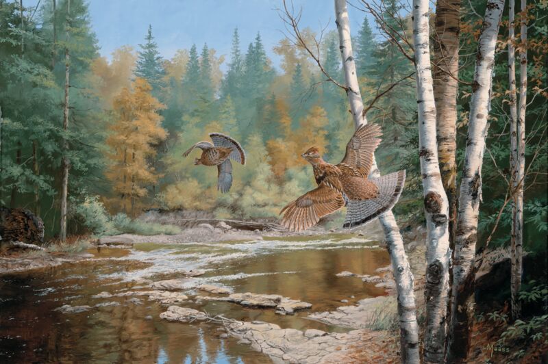 Cascade Crossing - Ruffed Grouse by David A. Maass