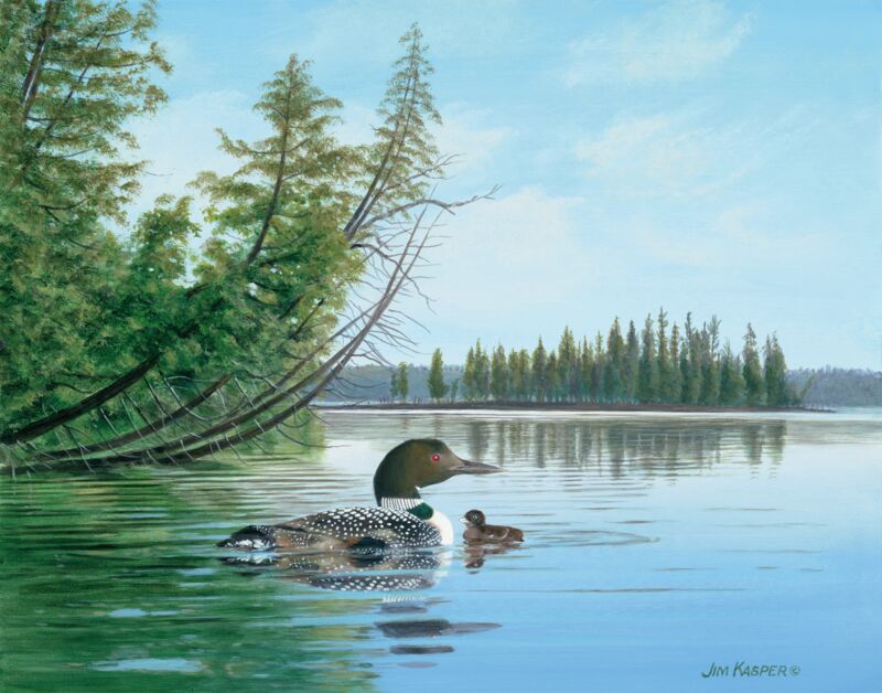 Cedar Point—Loons by Jim Kasper