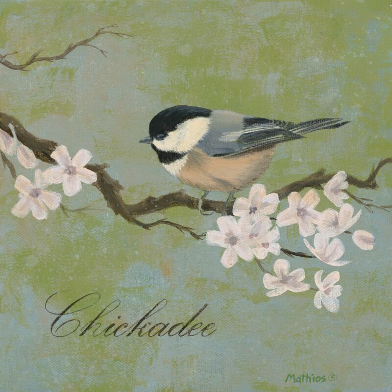 Chickadee by Peter Mathios