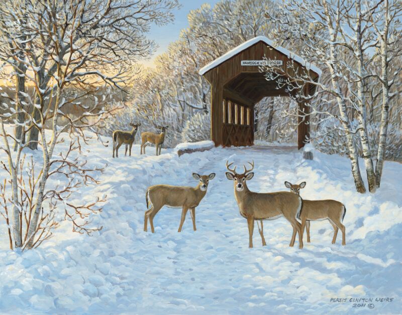 Chilly Sunshine—Deer by Persis Clayton Weirs