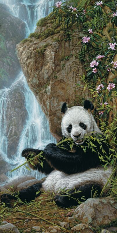Citizen of Heaven on Earth - Panda by Lee Kromschroeder