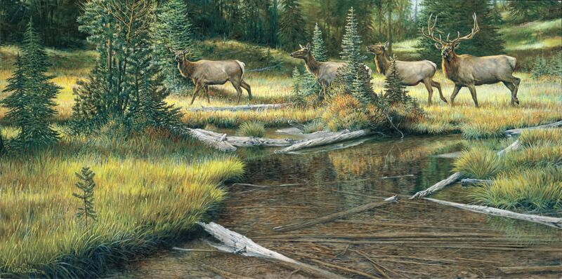 Clearcreek Promenade - Elk by Ron Van Gilder