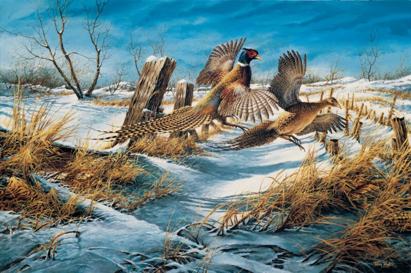 Clearing the Rail - Pheasants by Terry Redlin