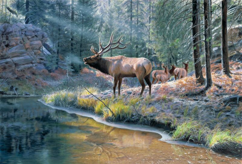 Crossing Bear Canyon—Elk by Jim Kasper
