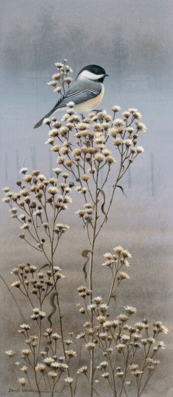 Degree of Dawn—Chickadee by David Wenzel