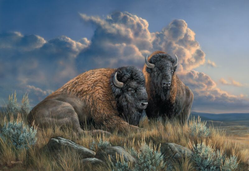 Distant Thunder - Bison by Rosemary Millette