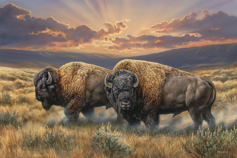 Dusty Plains - Bison by Rosemary Millette