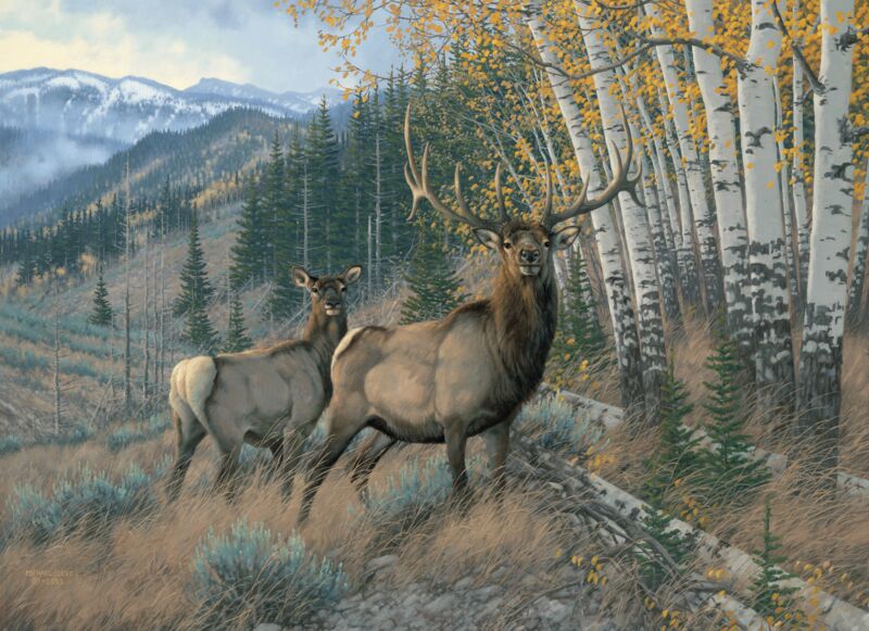 Eastern Slope—Elk by Michael Sieve