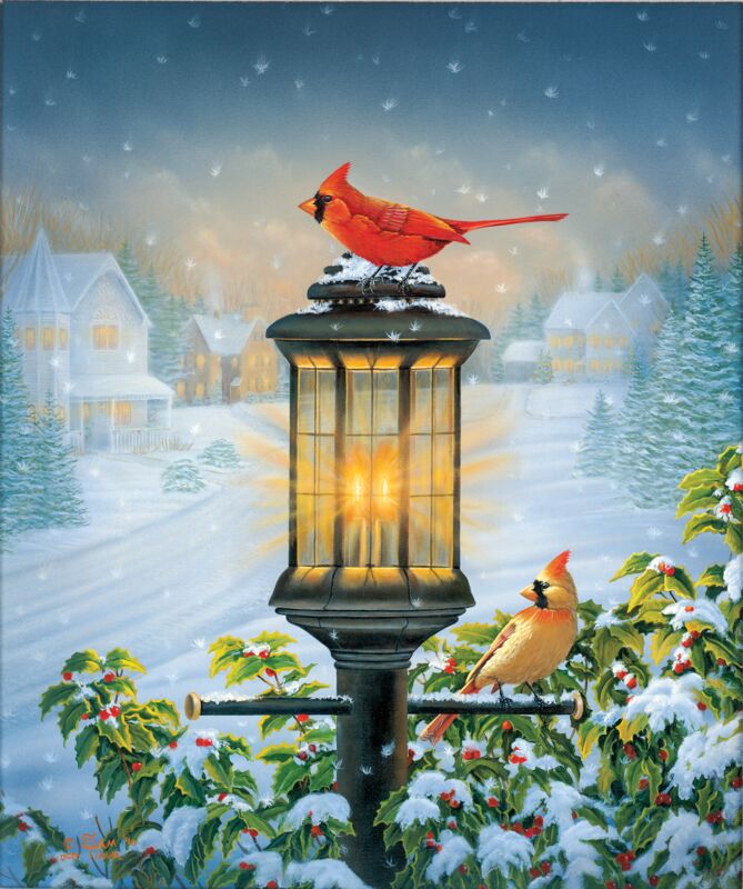 Evening Glow - Cardinals by Sam Timm