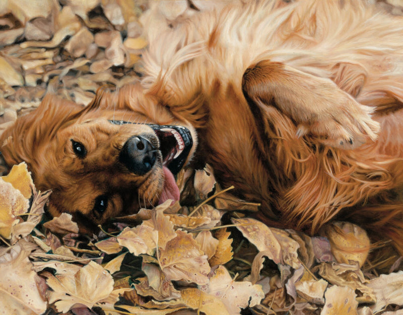 Fall Festival-Golden Retriever