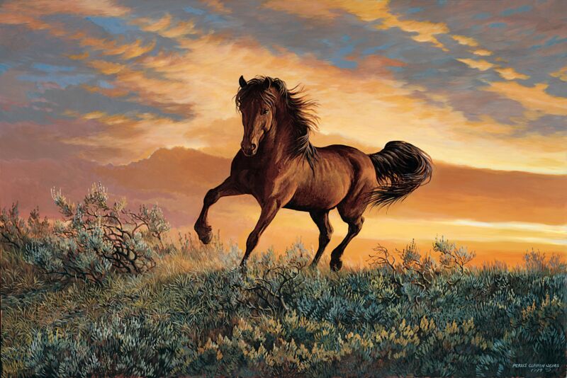 Fire in the Sky by Persis Clayton Weirs