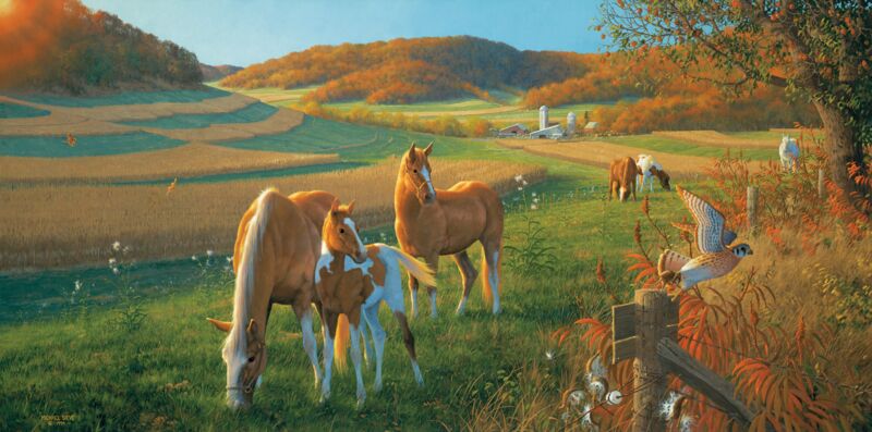 God's Country—Horses by Michael Sieve