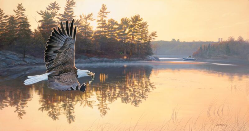 Gone Fishing - Bald Eagle by Jim Kasper