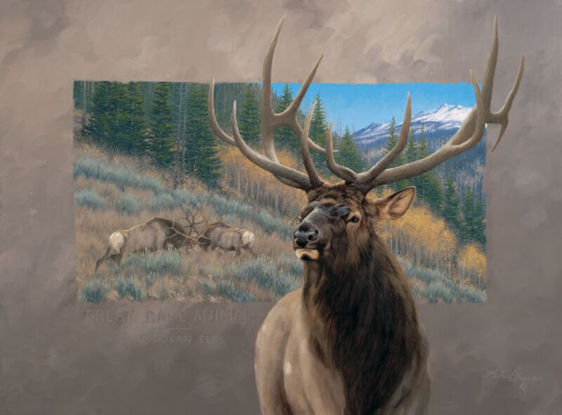 Great Game Animals—Elk From Wild Wings