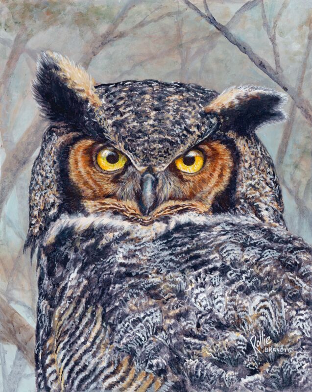 Great Horned Mama by Rollie Brandt