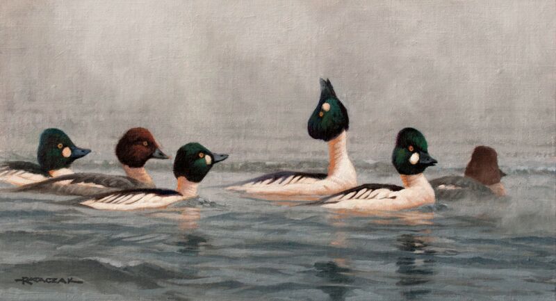 Hearts a Fire—Goldeneye by Jim Rataczak