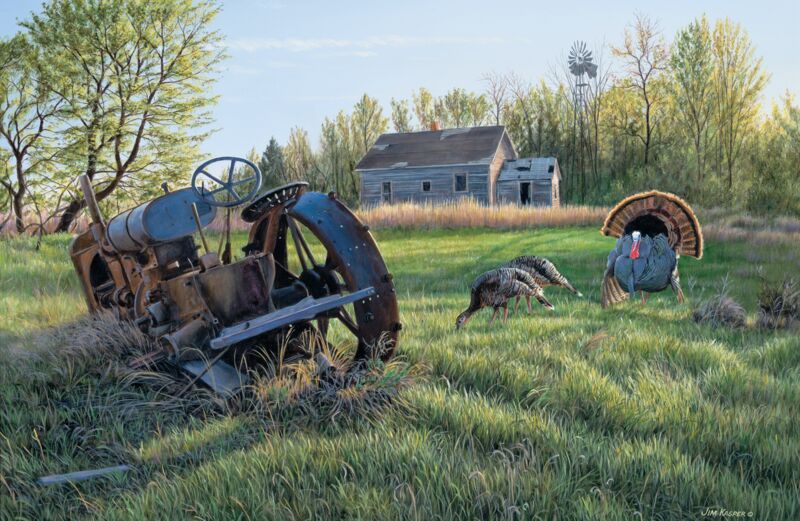 Heavy Metal—Turkeys by Jim Kasper