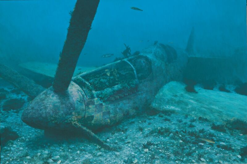 Just Short of Dover—P51 Mustang by Randall Scott