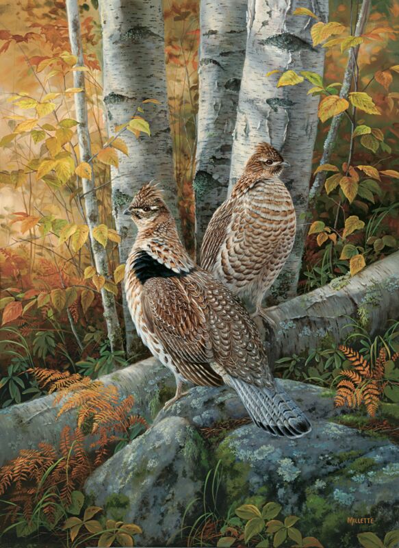 Late Season Solitude—Ruffed Grouse by Rosemary Millette