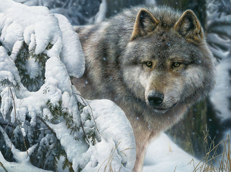 Master of the North