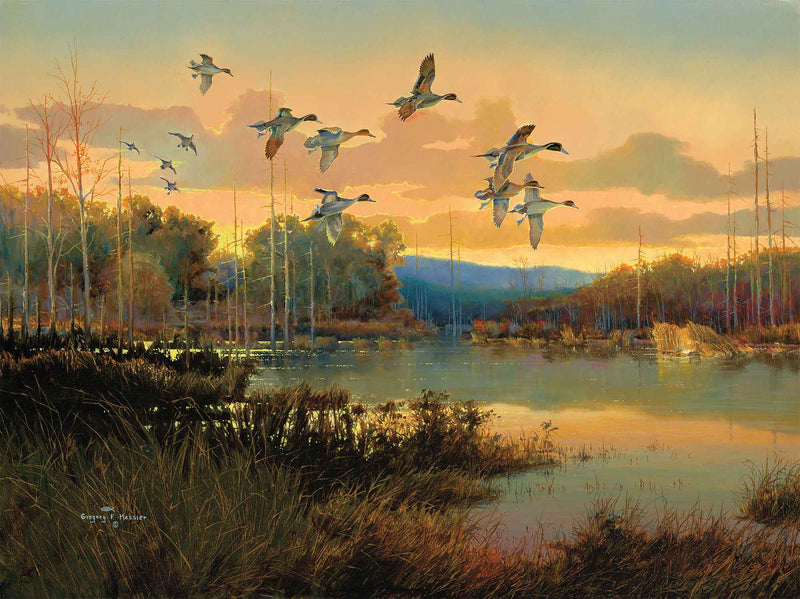 Messier’s Blind—Pintails