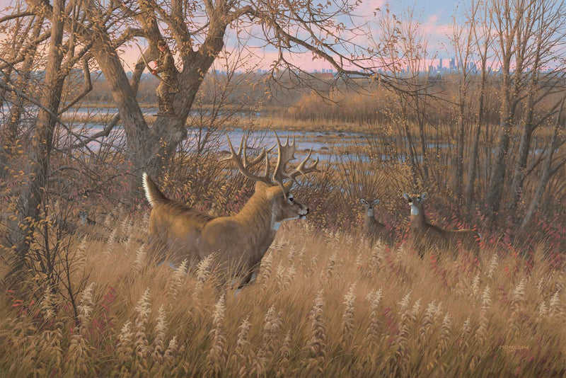 Metro Zone—Archery